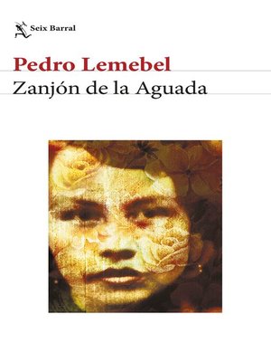 cover image of Zanjón de la Aguada